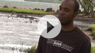 View our Service Learning at Heeia Fishpond video here.
